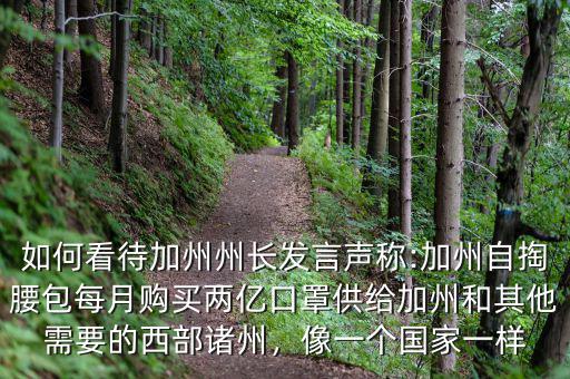 如何看待加州州長發(fā)言聲稱:加州自掏腰包每月購買兩億口罩供給加州和其他需要的西部諸州，像一個國家一樣