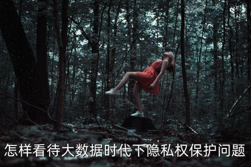 怎樣看待大數(shù)據時代下隱私權保護問題