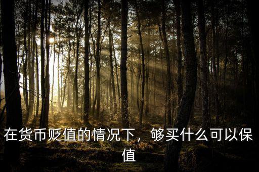 在貨幣貶值的情況下，夠買什么可以保值