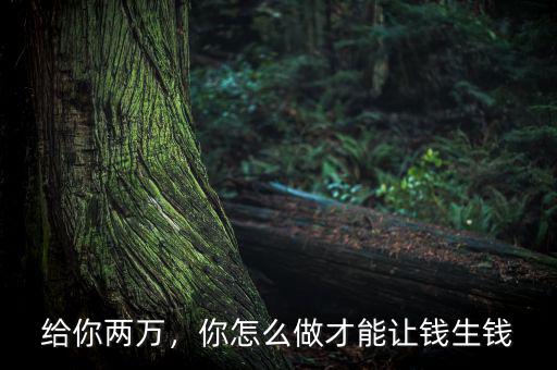 給你兩萬(wàn)，你怎么做才能讓錢生錢