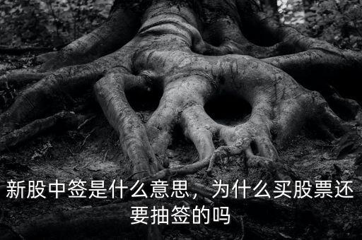 新股中簽是什么意思，為什么買(mǎi)股票還要抽簽的嗎