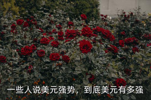 一些人說美元強勢，到底美元有多強