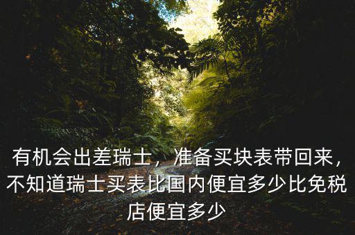 有機(jī)會(huì)出差瑞士，準(zhǔn)備買塊表帶回來，不知道瑞士買表比國內(nèi)便宜多少比免稅店便宜多少