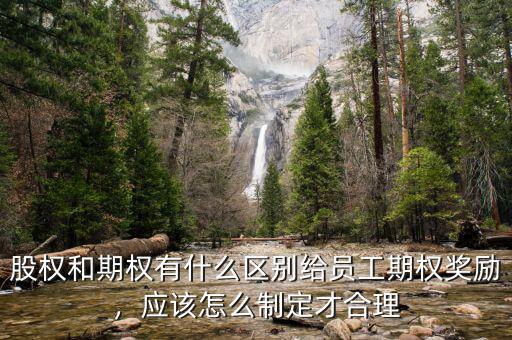 一個公司期權有多少,最近公司給了我一部分期權