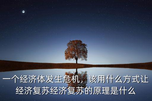 一個經(jīng)濟體發(fā)生危機，該用什么方式讓經(jīng)濟復蘇經(jīng)濟復蘇的原理是什么