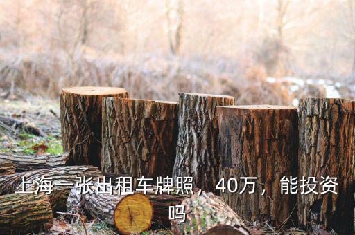 上海一張出租車(chē)牌照，40萬(wàn)，能投資嗎