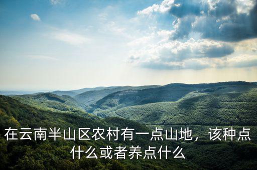 在云南半山區(qū)農村有一點山地，該種點什么或者養(yǎng)點什么