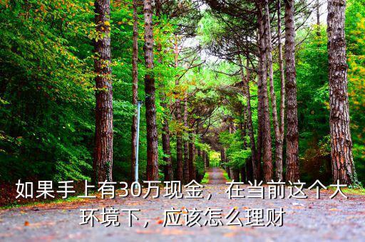 如果手上有30萬現(xiàn)金，在當(dāng)前這個大環(huán)境下，應(yīng)該怎么理財