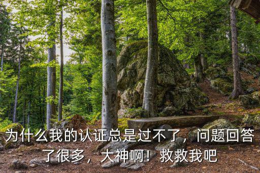 為什么我的認證總是過不了，問題回答了很多，大神??！救救我吧