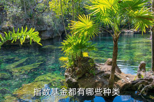 滬市基金有多少種類(lèi),指數(shù)基金都有哪些種類(lèi)