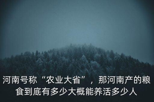 河南號稱“農(nóng)業(yè)大省”，那河南產(chǎn)的糧食到底有多少大概能養(yǎng)活多少人