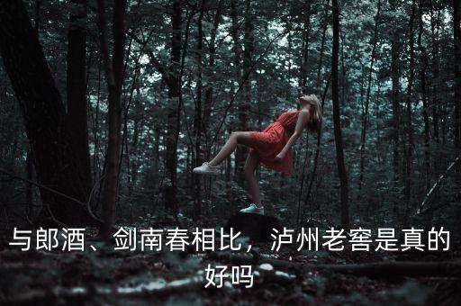 與郎酒、劍南春相比，瀘州老窖是真的好嗎