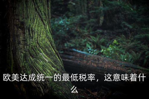 歐美達成統(tǒng)一的最低稅率，這意味著什么