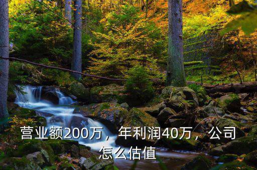 營業(yè)額200萬，年利潤40萬，公司怎么估值