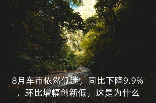 8月車市依然低迷，同比下降9.9%，環(huán)比增幅創(chuàng)新低，這是為什么