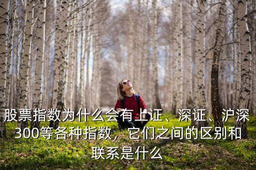 股票指數(shù)為什么會有上證、深證、滬深300等各種指數(shù)，它們之間的區(qū)別和聯(lián)系是什么