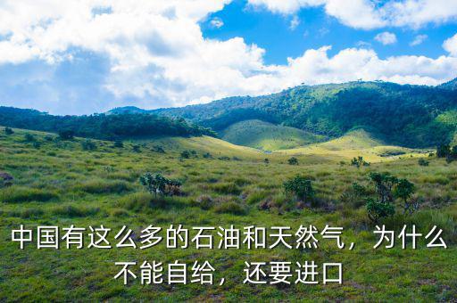 中國有這么多的石油和天然氣，為什么不能自給，還要進(jìn)口