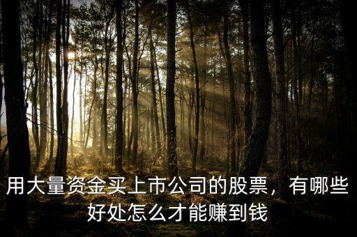 用大量資金買上市公司的股票，有哪些好處怎么才能賺到錢