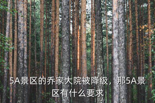 5A景區(qū)的喬家大院被降級，那5A景區(qū)有什么要求