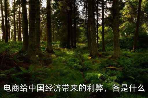 電商給中國(guó)經(jīng)濟(jì)帶來的利弊，各是什么