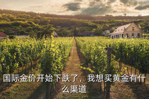 國(guó)際金價(jià)開始下跌了，我想買黃金有什么渠道