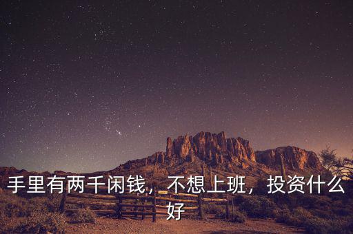 手里有兩千閑錢，不想上班，投資什么好