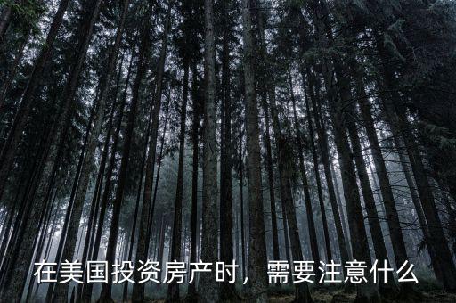 在美國(guó)投資房產(chǎn)時(shí)，需要注意什么