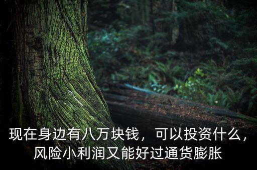 現(xiàn)在身邊有八萬塊錢，可以投資什么，風(fēng)險(xiǎn)小利潤(rùn)又能好過通貨膨脹