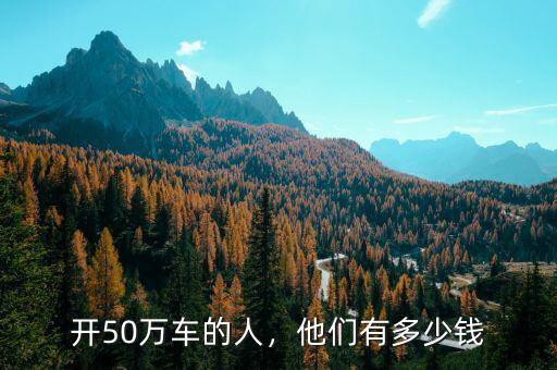 開50萬車的人，他們有多少錢