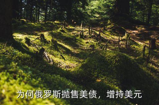 為何俄羅斯拋售美債，增持美元