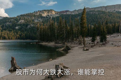 股市為何大跌大漲，誰能掌控