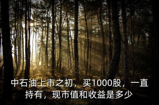 中石油上市之初，買1000股，一直持有，現(xiàn)市值和收益是多少