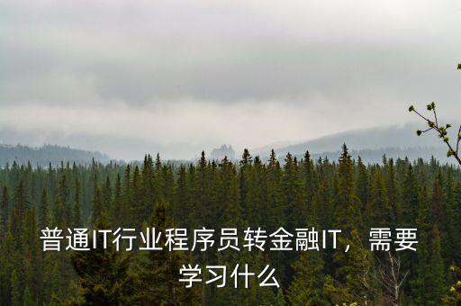 普通IT行業(yè)程序員轉(zhuǎn)金融IT，需要學(xué)習(xí)什么
