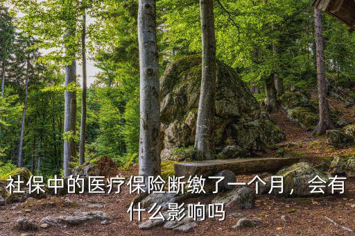 社保中的醫(yī)療保險(xiǎn)斷繳了一個(gè)月，會(huì)有什么影響嗎