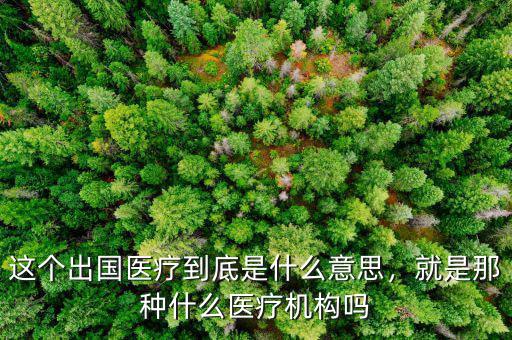 這個(gè)出國(guó)醫(yī)療到底是什么意思，就是那種什么醫(yī)療機(jī)構(gòu)嗎