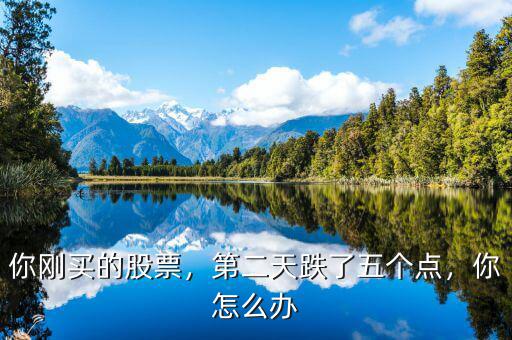 你剛買的股票，第二天跌了五個點，你怎么辦