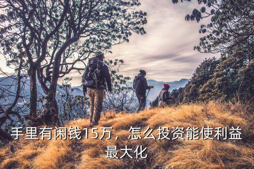 手里有閑錢15萬，怎么投資能使利益最大化