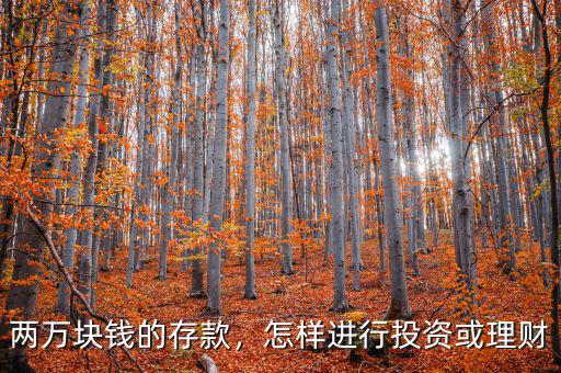 兩萬(wàn)塊錢(qián)的存款，怎樣進(jìn)行投資或理財(cái)