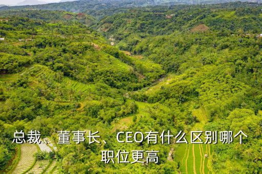 總裁、董事長(zhǎng)、CEO有什么區(qū)別哪個(gè)職位更高
