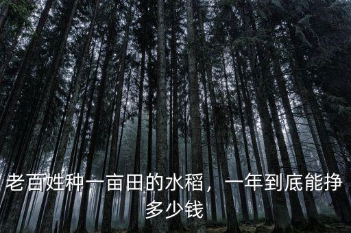 水稻農場一年賺多少錢,老百姓種一畝田的水稻
