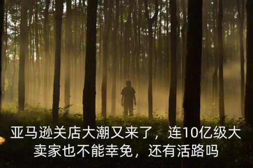 亞馬遜關(guān)店大潮又來(lái)了，連10億級(jí)大賣家也不能幸免，還有活路嗎