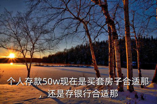 個(gè)人存款50w現(xiàn)在是買套房子合適那，還是存銀行合適那