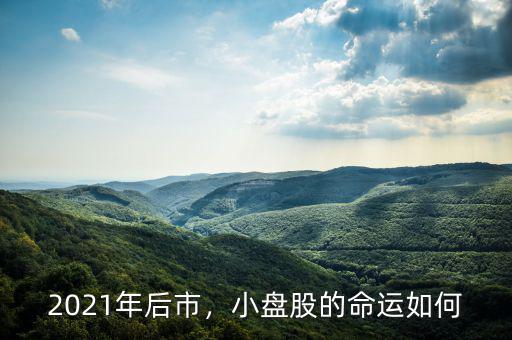 2021年后市，小盤股的命運如何