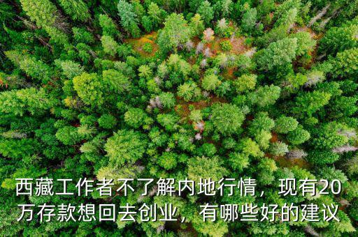 西藏工作者不了解內(nèi)地行情，現(xiàn)有20萬存款想回去創(chuàng)業(yè)，有哪些好的建議