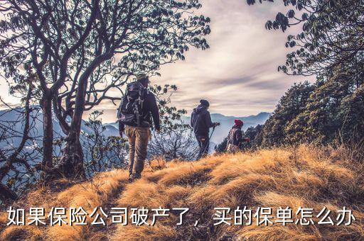 如果保險公司破產了，買的保單怎么辦