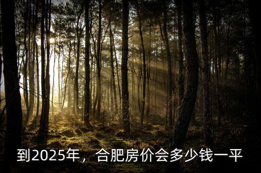 到2025年，合肥房價會多少錢一平