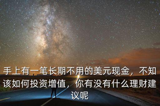手上有一筆長(zhǎng)期不用的美元現(xiàn)金，不知該如何投資增值，你有沒有什么理財(cái)建議呢