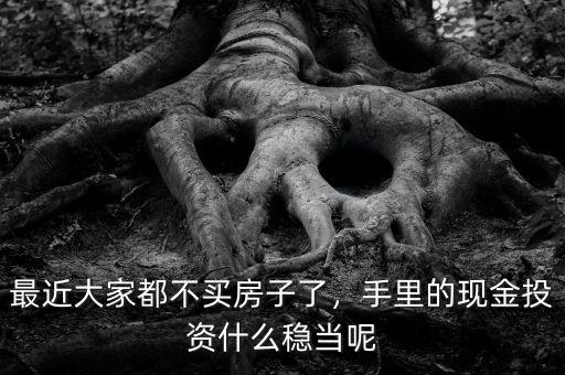 最近大家都不買房子了，手里的現(xiàn)金投資什么穩(wěn)當(dāng)呢