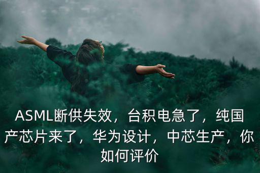 ASML斷供失效，臺積電急了，純國產(chǎn)芯片來了，華為設(shè)計(jì)，中芯生產(chǎn)，你如何評價(jià)