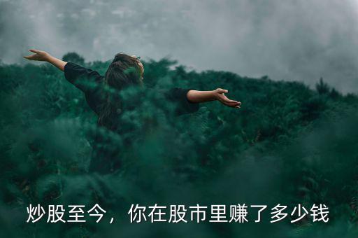炒股至今，你在股市里賺了多少錢